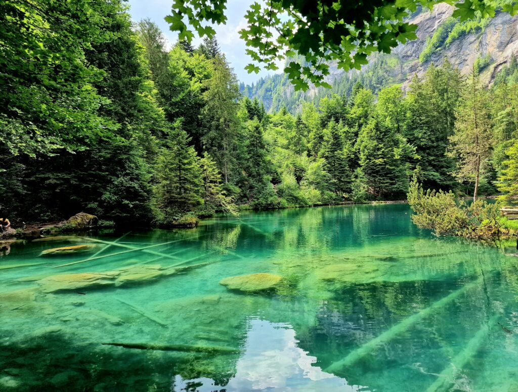 Tranquil lake surrounded by lush green forest in Kandersteg, Switzerland. Ideal nature escape.